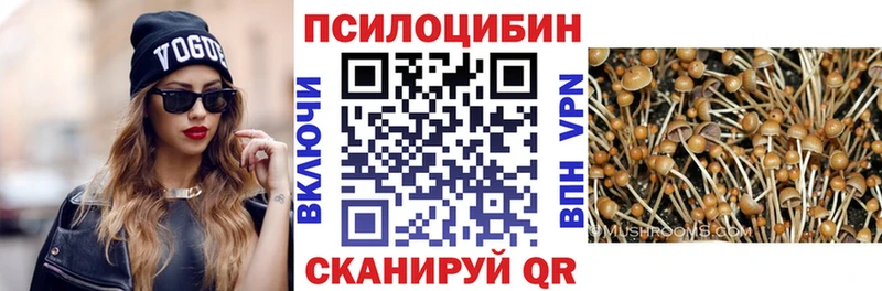 Галлюциногенные грибы MAGIC MUSHROOMS  Порхов 